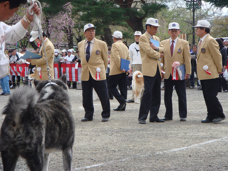 090803P2.JPG - 166,015BYTES