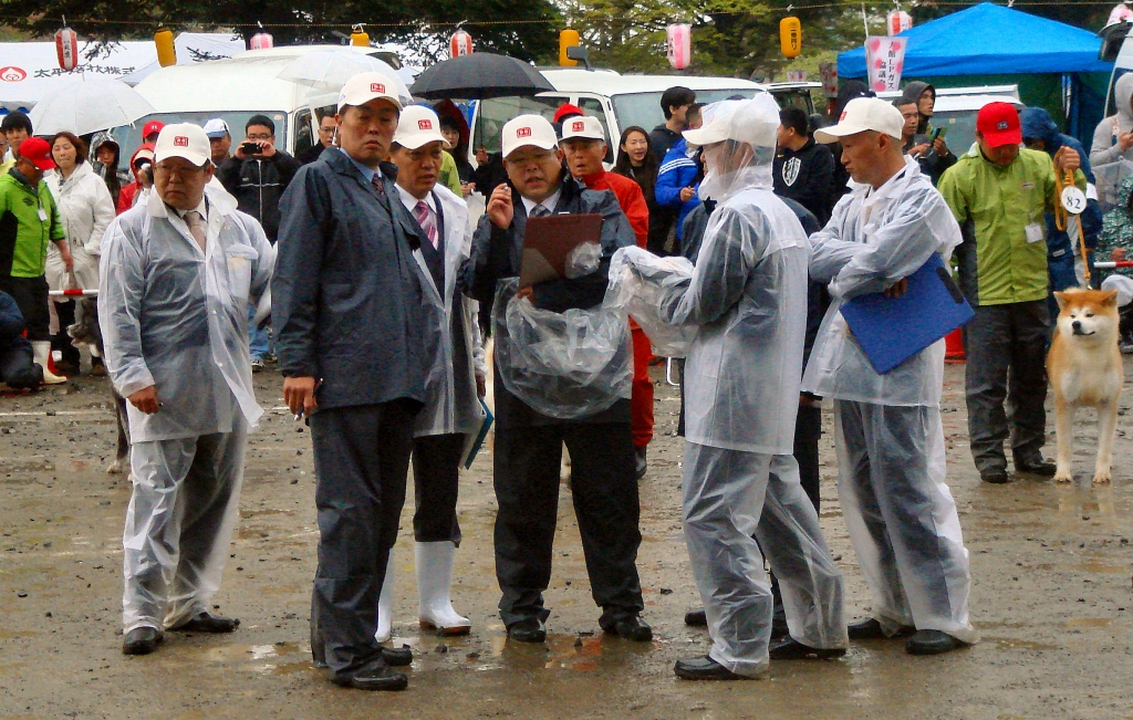 2018HONBU3.JPG - 724,039BYTES