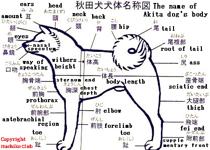 BODYNAME2.JPG - 134,735BYTES