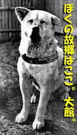 HACHI0811B.JPG - 46,456BYTES